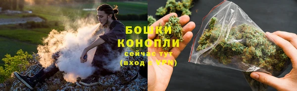 PSILOCYBIN Зеленодольск