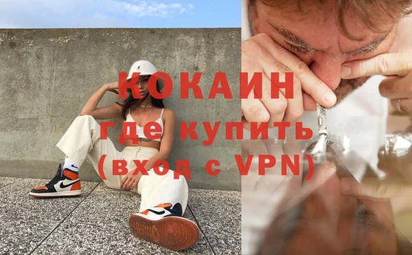 PSILOCYBIN Зеленодольск