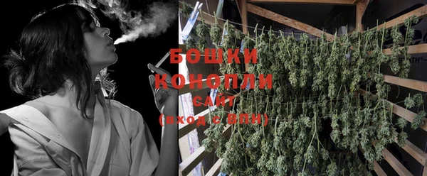 PSILOCYBIN Зеленодольск