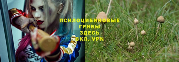 PSILOCYBIN Зеленодольск