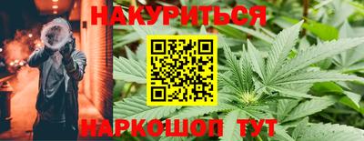 прущие грибы Ирбит