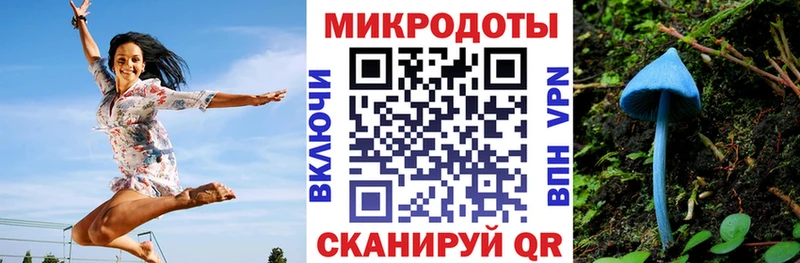 Псилоцибиновые грибы Psilocybine cubensis дарнет шоп Саянск