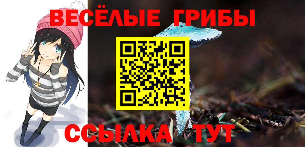 Галлюциногенные грибы Psilocybe Саянск